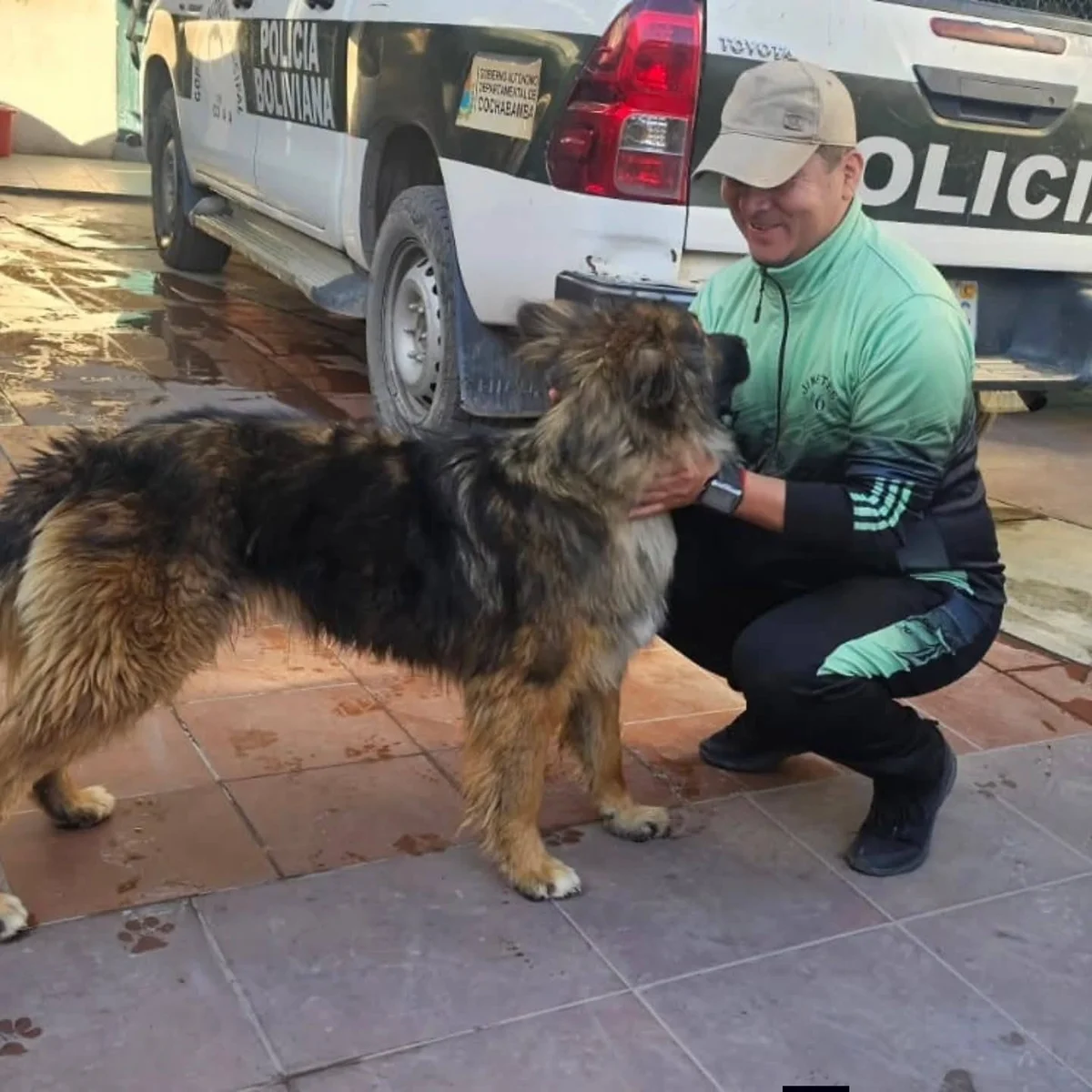 Rex pasó de vivir en la calle a convertirse en integrante simbólico de la Policía de Bolivia.webp